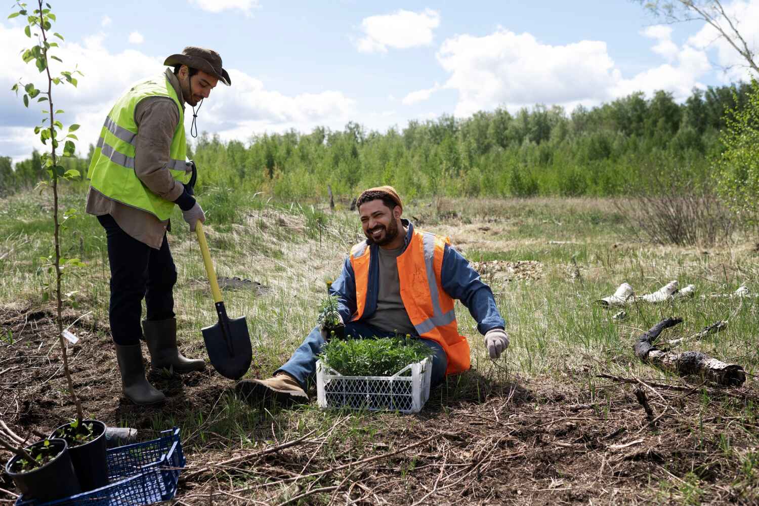 Reliable Pine Ridge, SD Tree Service Solutions